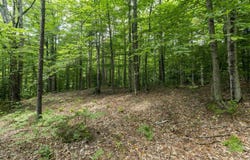TBD Taylor Road, Duxbury, VT 05660