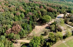 12008 Ozark Road lot: 7, Rudy, AR 72952