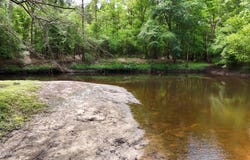 2516 Register Sutton Road, Rose Hill, NC 28458
