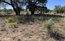 1X Chaparral Trail, NM 88061