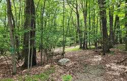 2145 Elkhorn Way, Farwell, MI 48622