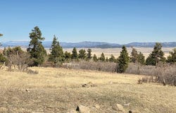 101 Phantom Rd, Westcliffe, CO 81252