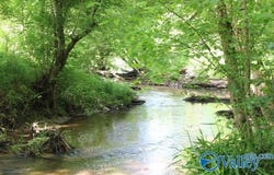 338 County Road 657, Rainsville, AL 35986