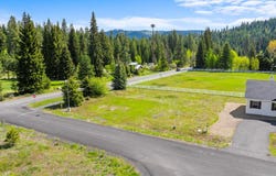1119 Swanie Way, McCall, ID 83638