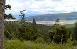 NHN Bugler Trail, Kila, MT 59920