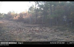 River Road, White Oak, NC 28399