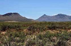 Lot 286 N Calle Del Prado --, Douglas, AZ 85607
