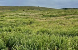 3994 SKY VIEW DRIVE, Tetonia, ID 83452