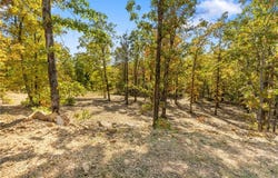 Lot 18 Restore Ridge, Harrison, AR 72601