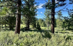 928 Red Sky, Portola, CA 96122