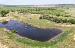 Tbd County Rd 196, Ovalo, TX 79541