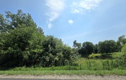 Vl McBrides Road, Stanton, MI 48888