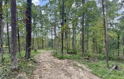 9 E East State Road 56, Paoli, IN 47454