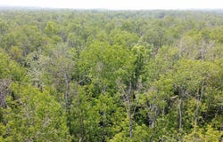 39XX S County Rd O, Maple, WI 54820