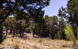Tbd Pr 177, Helotes, TX 78023
