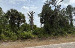 557 NAPLES AVENUE S, LEHIGH ACRES, FL 33974
