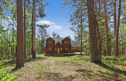 8100 Nature Ridge Trail, Vanderbilt, MI 49795