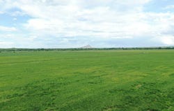 12526 Apple Road, Whitewood, SD 57793