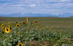 4 TBD County Road 21, Carr, CO 80612