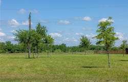6809 Atakapan Trail, Bedias, TX 77831