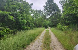 11005 Oak Tree Drive, Mountain Grove, MO 65711