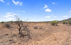 41990 N CAHAVA RANCH Road, Cave Creek, AZ 85331