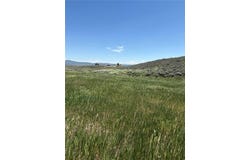 38300 CATTAILS COURT, Hayden, CO 81639