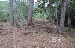 6803 Traylor Lane, Gulf Shores, AL 36542
