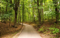 7277 Lautner Road, Williamsburg, MI 49690