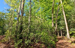 143 Megan Trace Lane, Turtletown, TN 37391