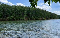 SC Hwy 215 South lot: 8, Jenkinsville, SC 29065