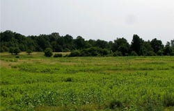 3939 Carleton Island Road 2, Cape Vincent, NY 13618