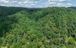 2.76ac Burkes Ford Rd lot: 13, Dugspur, VA 24325