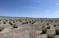 40 Acres + 2AF Water Right, Beryl, UT 84714