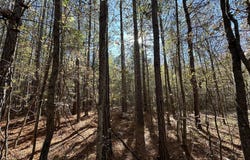 1229 EDGE Lane, Tignall, GA 30668