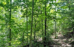 521 Signal Ridge, Sylva, NC 28779