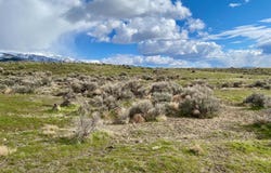 11555 Brooks Canyon Road, Lovelock, NV 89419