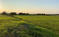 80 Lot 1 Keeter Ln, Lipan, TX 76462
