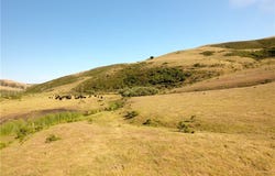 0 Ca-1, Cayucos, CA 93430