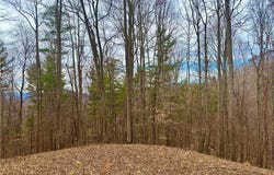 00 Apple Farm Road, Bakersville, NC 28705
