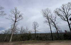 282 Polk Road 40, Hatfield, AR 71945