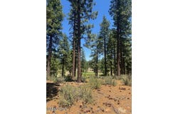 186 Tor Court unit: 57, Carson City, NV 89705