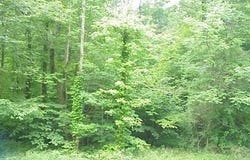 Laurel Road, West Salem, OH 44287