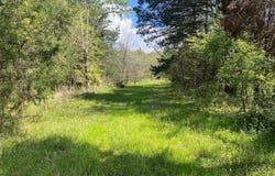 None CR1131, Bogata, TX 75417
