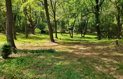 201 ERICSSON Avenue, BETTERTON, MD 21610