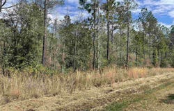 10730 Yeager, Hastings, FL 32145