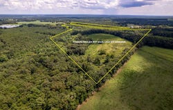 0 County Road 99, Chancellor, AL 36316