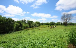 24388 250Th Street, Eldora, IA 50627