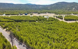 135 Wright Way, Marion, MT 59925