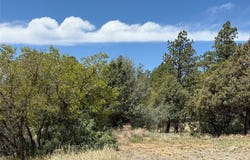 33 Buck Dr, Los Ojos, NM 87551